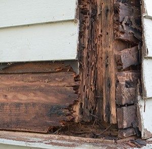 Close-up of a house exterior with severe wood rot and damage, showing decayed wood underneath the siding