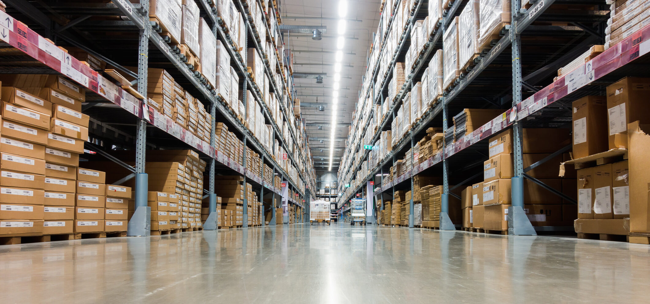 Low shot of clean warehouse floor free of pests